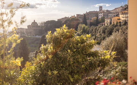 Casa Coccinella: Natur, Vegetation, Strauch, Landschaft, Morgen, Sonnenlicht, Abend, Dämmerung, Schloss, Meteorologisches Phänomen