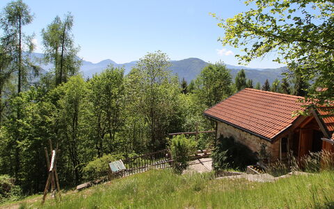 Baita Costa Di Gial: Baum, Haus, Hütte, Ländliches Gebiet, Bergstation, Lärche, Gebirge, Dorf, Bergdorf