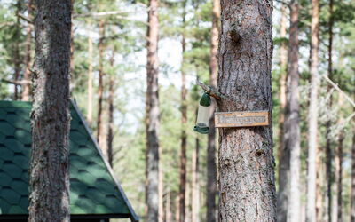 Unterkunft:&nbsp;Beekeepers Bothy 101.1