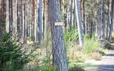 Unterkunft:&nbsp;Forester'S Bothy 101.5