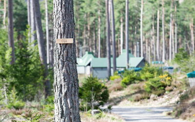 Unterkunft:&nbsp;Oak Bothy 101.11