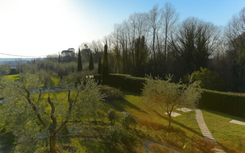 Villa Diamante: Gras, Blatt, Natur, Grün, Natürlichen Umgebung, Vegetation, Natürliche Landschaft, Strauch, Landschaft, Grundstueck