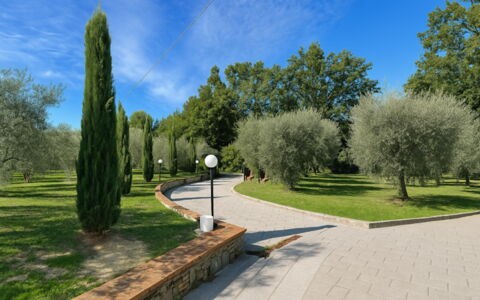 Villa Diamante: Baum, Gras, Blatt, Strauch, Garten, Gehölz, Frühling, Walkway, Park, Landscaping