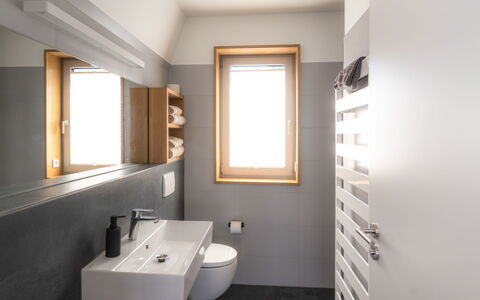 De Luxe H751 mit Panoramasauna: Wand, Flooring, Armatur, Interior Design, Sinken, Bad Sink, Fussboden, Badezimmer, Zapfhahn, Toilette