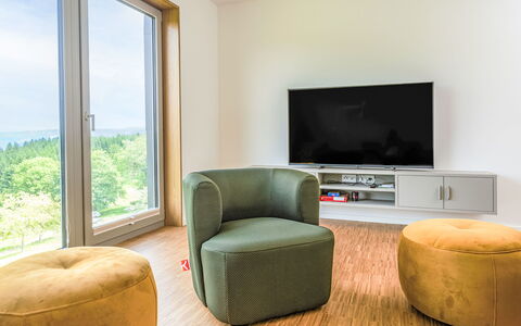 De Luxe H751 mit Panoramasauna: Möbel, Interior Design, Flooring, Fussboden, Holz, Zimmer, Zuhause, Wohnzimmer, Komfort, Beleuchtung