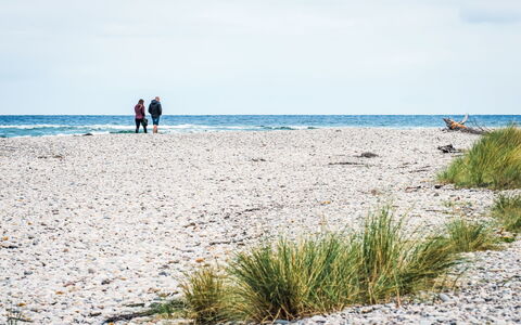 Varis Haven: Strand, Ufer, Küste, Meer, Urlaub, Sand, Ozean, Wind Wave