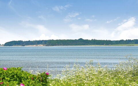 Gertje - 20M from the Sea: Blau, Strauch, Hütte, Ground, Garten, Estate, Schatten, Landscaping, Bauernhaus, Eco Hotel