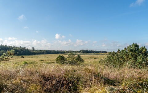 Anneka - 750M from the Sea: Himmel, Blau, Gras, Natürlichen Umgebung, Wolke, Wiese, Vegetation, Natürliche Landschaft, Ökoregion, Einfach