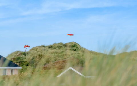 Myrna - 250M from the Sea: 