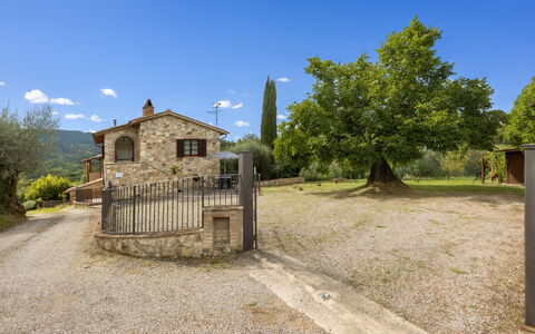 Oliveto Del Cantarello: Zuhause, Hütte, Estate, Bauernhaus, Dorf, Zaun, Garten, Auffahrt, Villa, Home Fechten