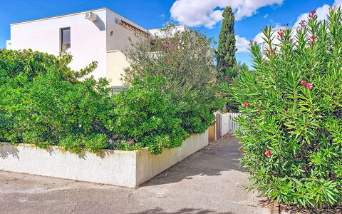 Le Barcarès 255: Strauch, Garten, Wohngebiet, Pflanzengemeinschaft, Grundstueck, Ground, Landscaping, Hinterhof, Garten