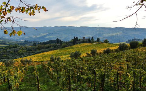 Ridaldi: Bergforms, Grün, Hügel, Natürliche Landschaft, Vegetation, Berg, Hochland, Landschaft, Landwirtschaft, Ländliches Gebiet
