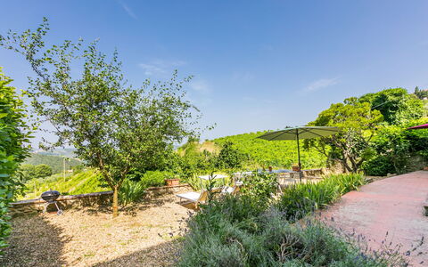 Ridaldi: Grün, Vegetation, Strauch, Landschaft, Pflanzengemeinschaft, Garten, Ländliches Gebiet, Ground, Frühling