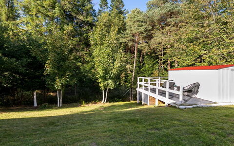 Winder - 925M from the Sea: Gras, Baum, Grundstueck, Rasen, Garten, Schatten, Hinterhof, Garten, Landscaping, Wald