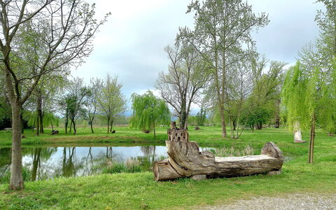 Villa Rosa Apartment: Baum, Gras, Ast, Natürlichen Umgebung, Natur, Natürliche Landschaft, Einfach, Wiese, Kofferraum