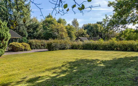 Aron - 30Km from the Sea: Grün, Baum, Gras, Blatt, Strauch, Garten, Wiese, Grundstueck, Rasen, Ground
