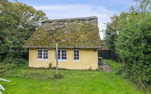 Thorfrid - 1Km from the Sea: Dachdecken, Dach, Haus, Hütte, Ländliches Gebiet, Grundstueck, Hütte, Cob, Dorf, Schuppen