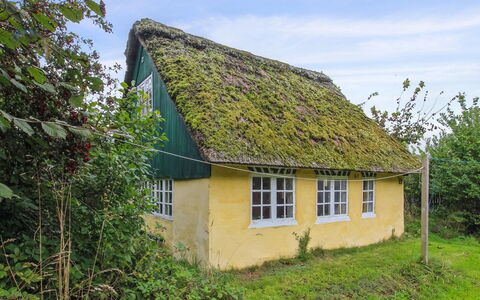 Thorfrid - 1Km from the Sea: Grün, Gras, Dachdecken, Gelb, Dach, Haus, Hütte, Ländliches Gebiet, Grundstueck, Dorf