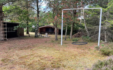 Hals 983: Baum, Gras, Grundstueck, Garten, Hinterhof, Wald, Rasen, Garten, Schatten, Boden