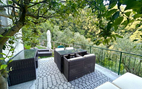 Manuela: Möbel, Gartenmöbel, Stuhl, Tisch Im Freien, Schatten, Zaun, Garten, Balkon, Kaffetisch, Hinterhof