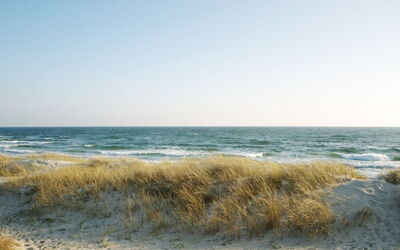 Rusalina - 20M from the Sea