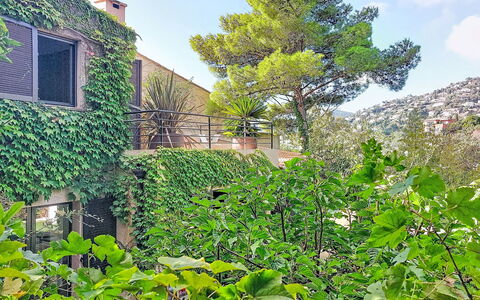 Villa 50: Vegetation, Strauch, Garten, Schatten, Immergrün, Hecke