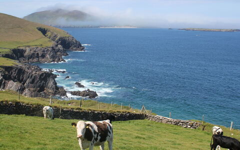 Dingle Cy (Tr4) - 3 Bed No 2: Blau, Wasser, Gewässer, Küste, Küsten Und Ozeanische Forms, Natürliche Landschaft, Hügel, Meer, Hochland, Landspitze