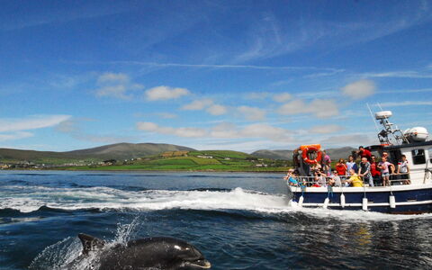 Dingle Cy (Tr4) - 3 Bed No 12: Boot, Watercraft, Meer, Ozean, See, Klang, Schiff, Schiffsbau