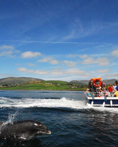 Dingle Hc (S7)(Tr4) No 13