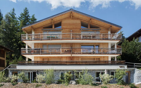 Apollo 2: Holz, Zuhause, Balkon, Wohnung, Veranda, Schatten, Hartholz, Holz, Design, Holzbeize