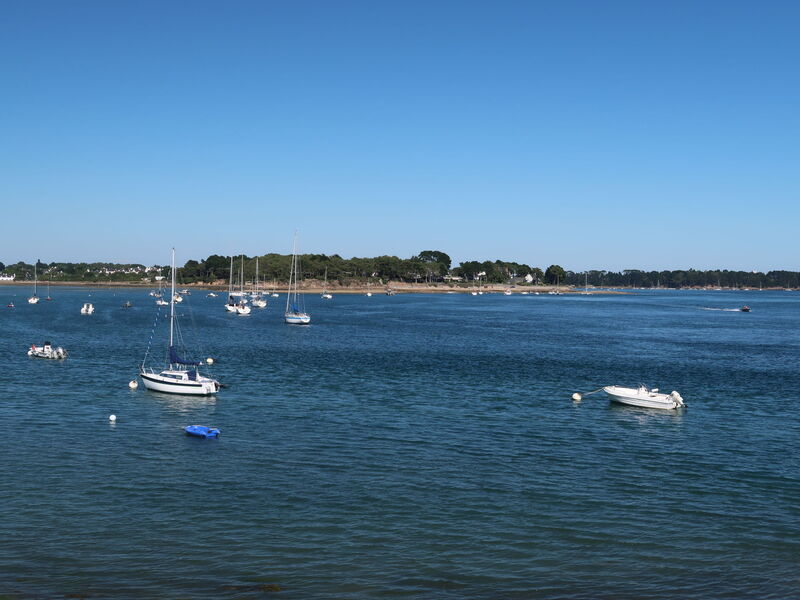 Le Nid du Golfe