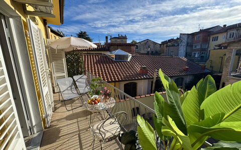 Casa Capolino: Nachbarschaft, Zuhause, Wohnung, Balkon, Blumentopf, Zimmerpflanze