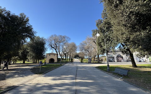 Casa Capolino: Baum, Gras, Ast, Strassenbelag, Öffentlicher Raum, Gehölz, Schatten, Park, Auffahrt, Bürgersteig