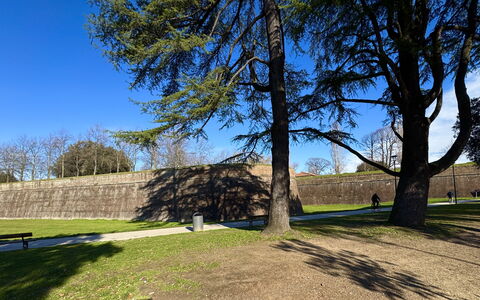 Casa Capolino: Gras, Baum, Morgen, Rasen, Schatten, Steinwand, Park, Walkway, Pfad