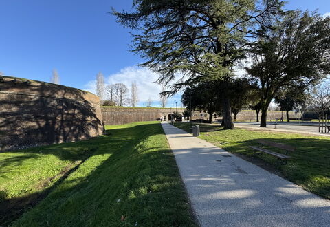 Casa Capolino: Gras, Baum, Rasen, Walkway, Bürgersteig, Landscaping, Garten, Park, Auffahrt, Schatten