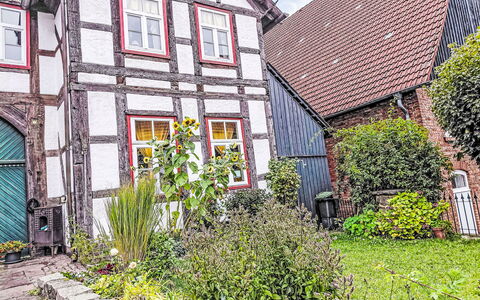 Schwalenberg 111: Strauch, Haus, Zuhause, Garten, Hütte, Garten, Hinterhof, Landscaping, Blumentopf