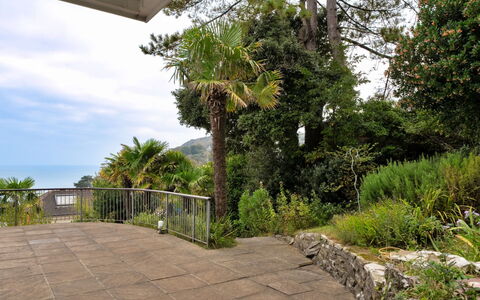 Furzehill: Stadt, Wohnung, Menschliche Siedlung, Resort, Eigentumswohnung, Hotel, Ferienort, Schwimmbad, Strandresort, Eco Hotel