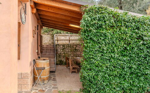 Graziella: Strauch, Garten, Schatten, Hecke, Landscaping, Hinterhof, Zaun, Home Fechten