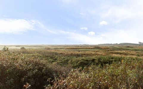 Thomine - 2.5Km from the Sea: Himmel, Gras, Natürlichen Umgebung, Wiese, Vegetation, Wolke, Ökoregion, Natürliche Landschaft, Horizont, Einfach