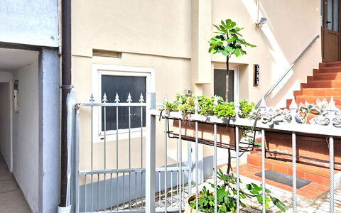 Umag 800: Fussboden, Decke, Schwimmbad, Resort, Design, Stuhl, Daylighting, Hotel, Villa, Penthouse