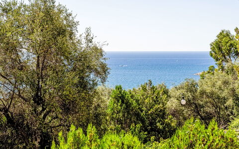 Casa del Mare: Blau, Grün, Blatt, Vegetation, Pflanzengemeinschaft, Meer, Ozean, Naturschutzgebiet, Sonnenlicht, Küste