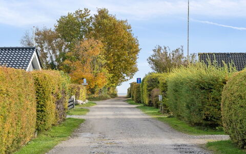 Elle - 175M from the Sea: Gras, Wiese, Landschaft, Ökoregion, Einfach, Pflanzengemeinschaft, Grundstueck, Gartenmöbel, Prärie, Shrubland