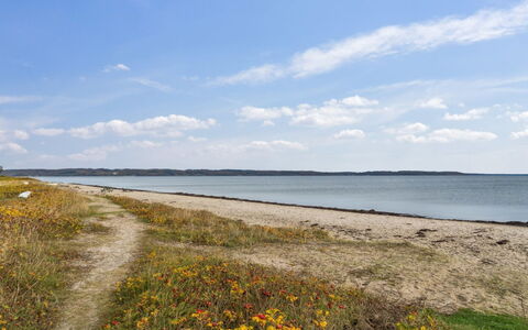 Elle - 175M from the Sea: Gras, Wiese, Landschaft, Ökoregion, Einfach, Pflanzengemeinschaft, Grundstueck, Gartenmöbel, Prärie, Shrubland