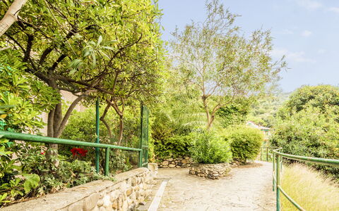 Casa Dolly, Monterosso 5 Terre: Grün, Vegetation, Strauch, Frühling, Garten, Schatten, Botanischer Garten, Landscaping, Zaun, Walkway