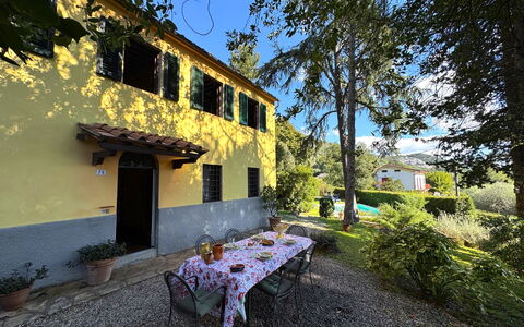 Allo Scoiattolo: Strauch, Zuhause, Hütte, Garten, Estate, Schatten, Landscaping, Hazienda, Garten, Hinterhof