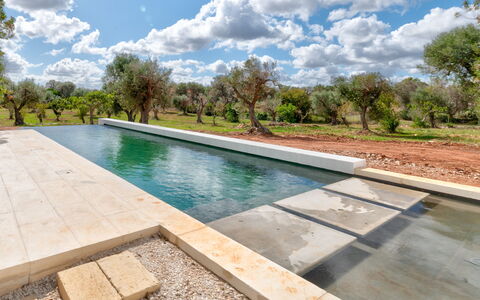 Villa Manè: Verbundwerkstoff, Schwimmbad, Water Feature, Reflexion, Landscaping, Fliese, Reflecting Pool, Walkway