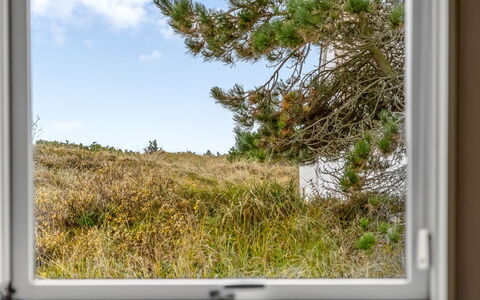 Ketilbiorn - 700M from the Sea: Wohngebiet, Strauch, Haus, Zuhause, Garten, Estate, Schatten, Landscaping, Rasen