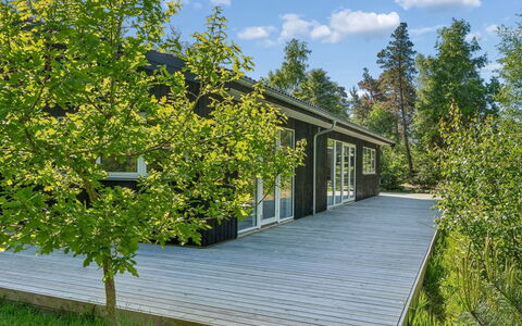 Amitola - 800M from the Sea: Grün, Strauch, Ground, Frühling, Hütte, Garten, Schatten, Abstellgleis, Landscaping, Gartenbauten