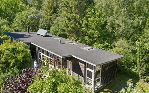 Ellenora - 1.7Km from the Sea: Die Architektur, Zuhause, Strauch, Grundstueck, Ground, Hütte, Estate, Garten, Abstellgleis, Schatten
