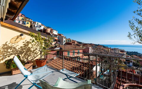Terrazza con Glicine: Zuhause, Wohnung, Wohngebiet, Balkon, Zimmerpflanze